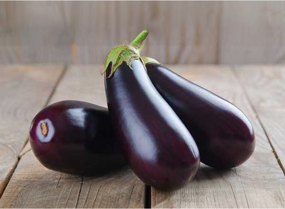 Eggplant