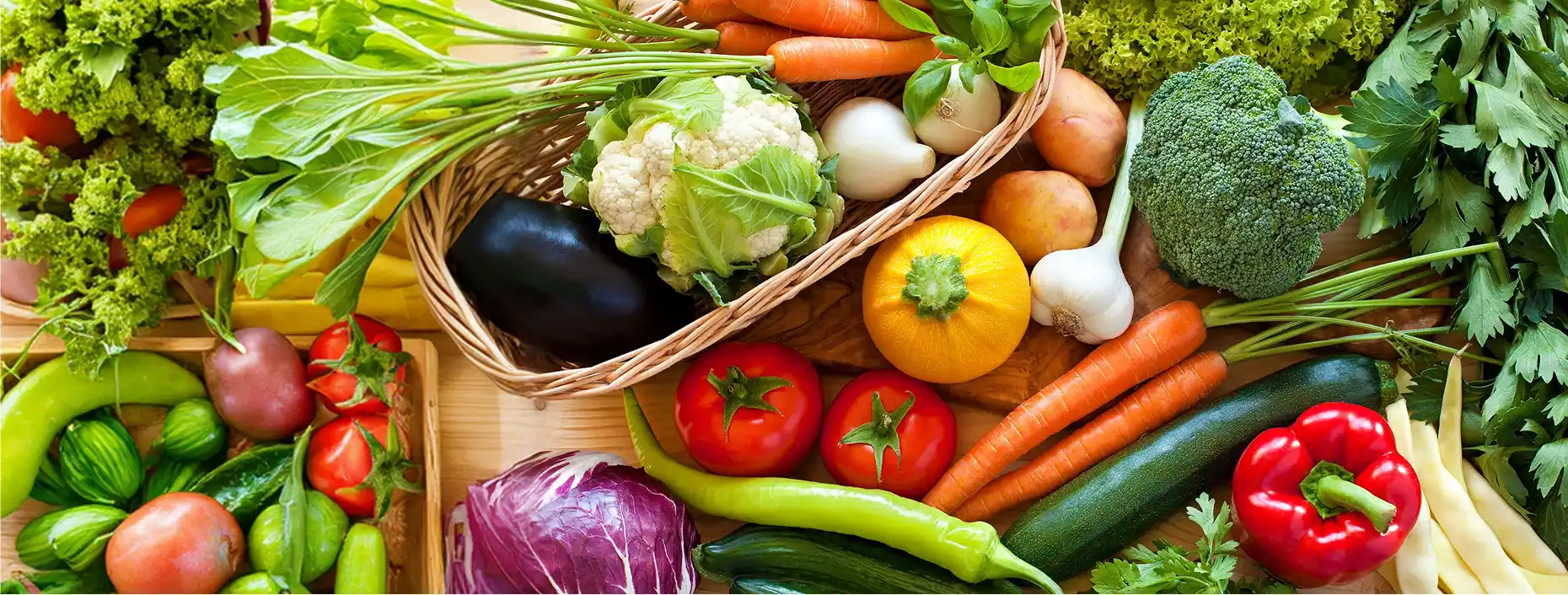 Tanha Trading Corporation - Hero Images