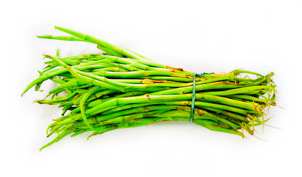 Kochur loti - Taro Stolons 01 (1)